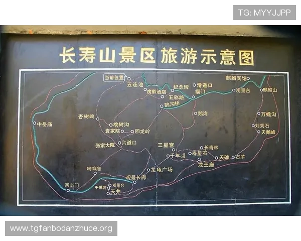 入场前需要准备的票务资料及入场流程全攻略 入场前需要准备的票务资料及入场流程全攻略